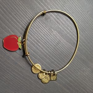 Alex and Ani Apple Bracelet